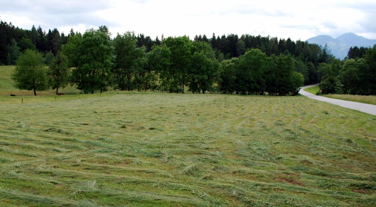 Farm Stay Rotovnik - Plesnik Slovenj Gradec Exteriör bild