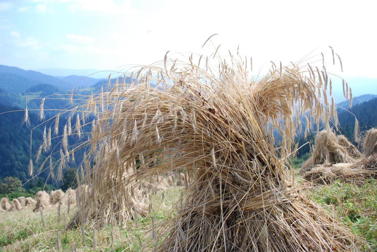 Farm Stay Rotovnik - Plesnik Slovenj Gradec Exteriör bild