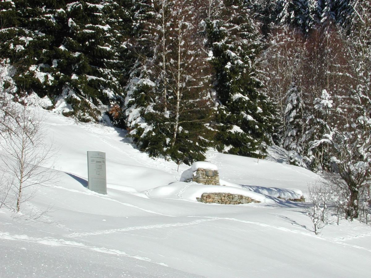 Farm Stay Rotovnik - Plesnik Slovenj Gradec Exteriör bild