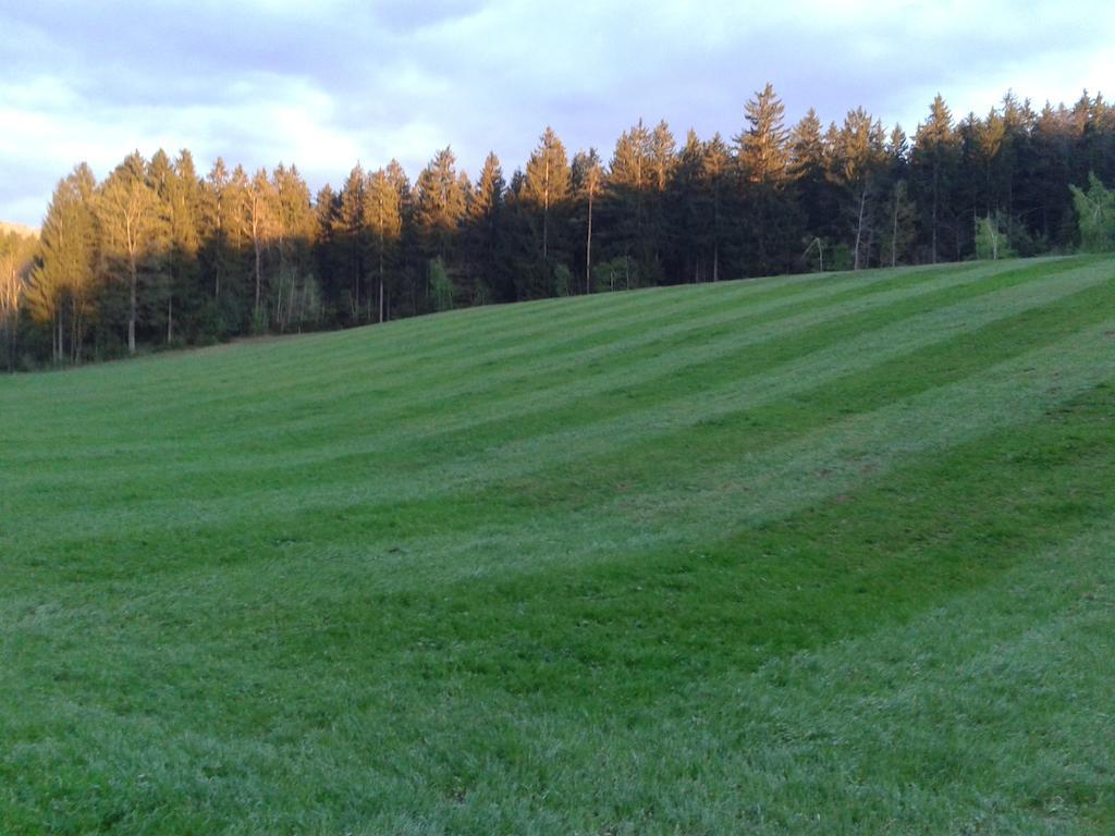 Farm Stay Rotovnik - Plesnik Slovenj Gradec Exteriör bild