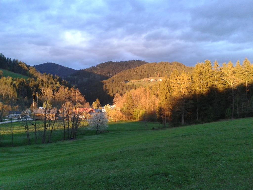 Farm Stay Rotovnik - Plesnik Slovenj Gradec Exteriör bild
