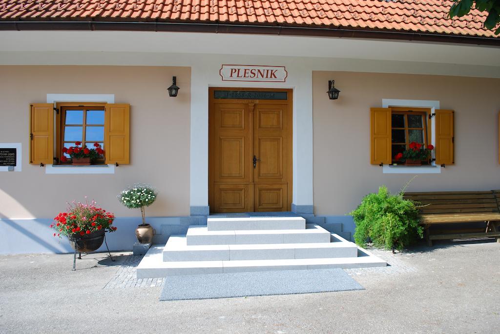 Farm Stay Rotovnik - Plesnik Slovenj Gradec Exteriör bild
